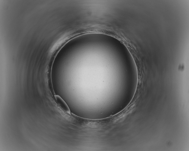 X0000090950341200708161800