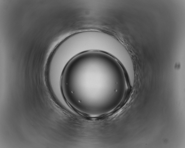 X0000090950342200708161800