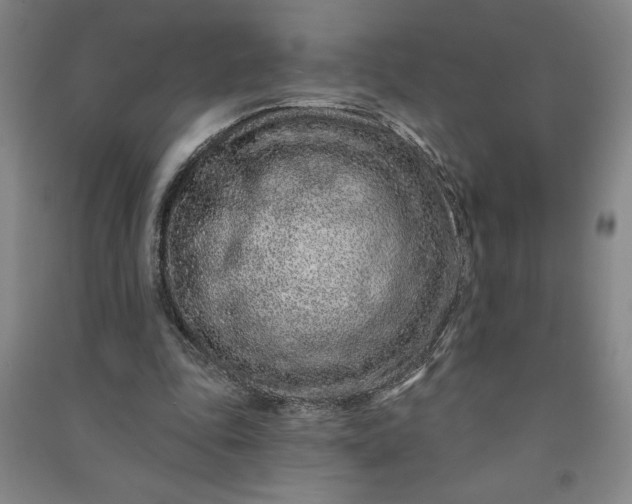 X0000090950343200708161800