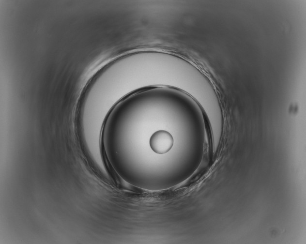 X0000090950344200708161800
