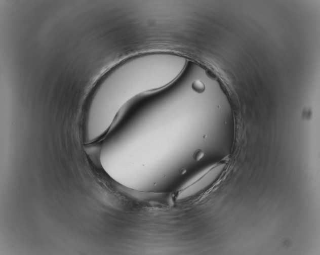 X0000090950346200708161800