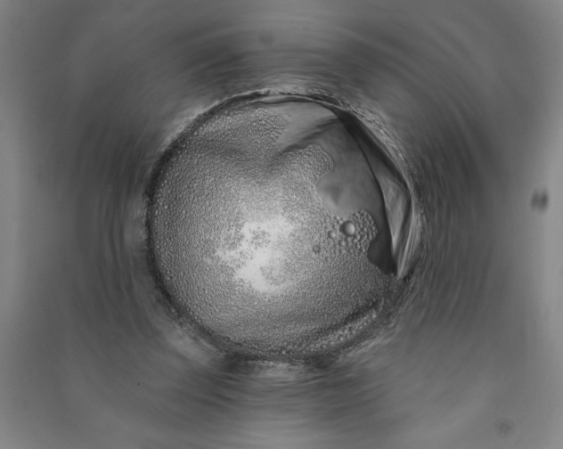 X0000090950347200708161800
