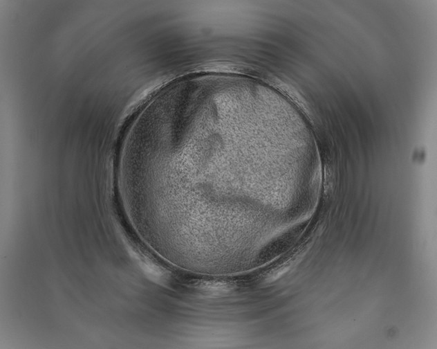 X0000090950349200708161800