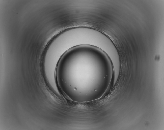 X0000090950350200708161800