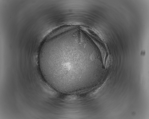 X0000090950351200708161800