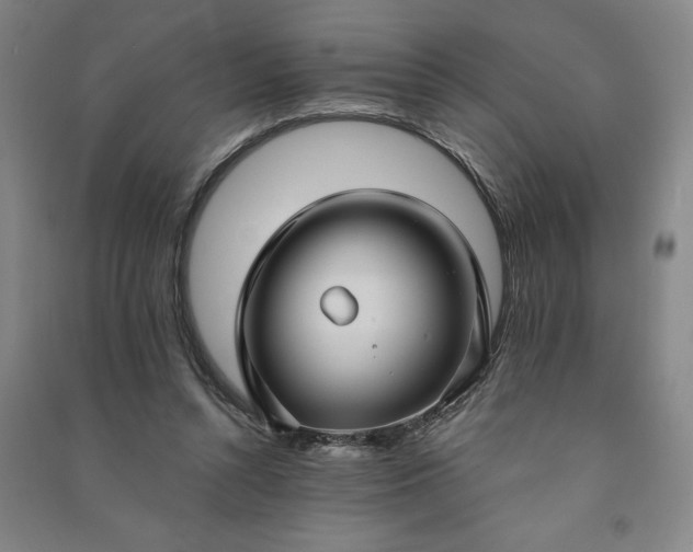 X0000090950352200708161800