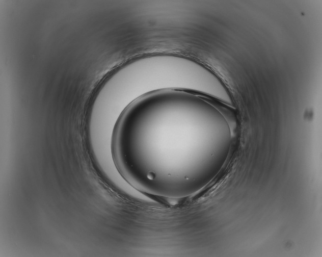 X0000090950354200708161800