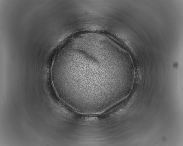 X0000090950355200708161800