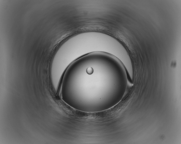 X0000090950356200708161800