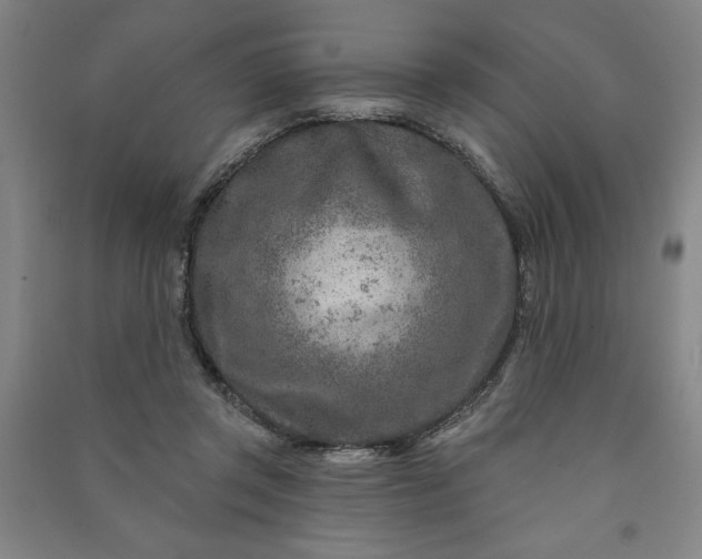 X0000090950357200708161800