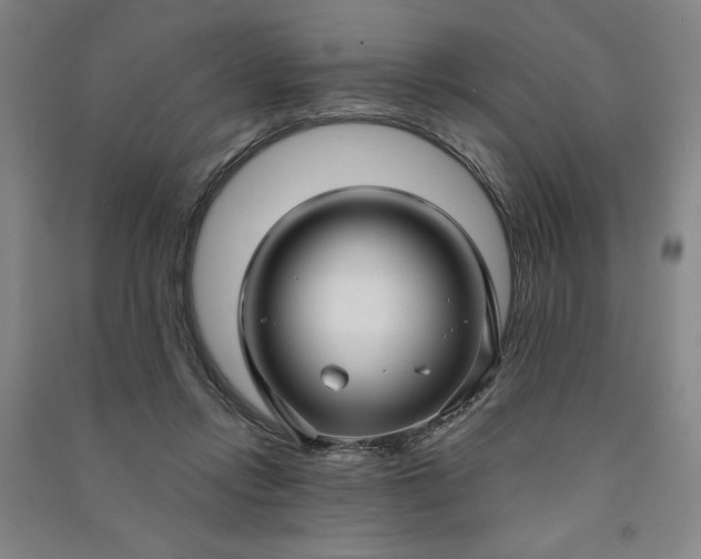 X0000090950358200708161800