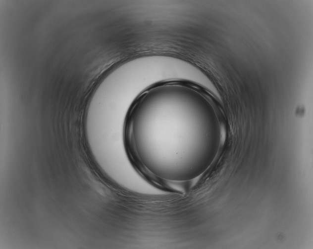 X0000090950360200708161800