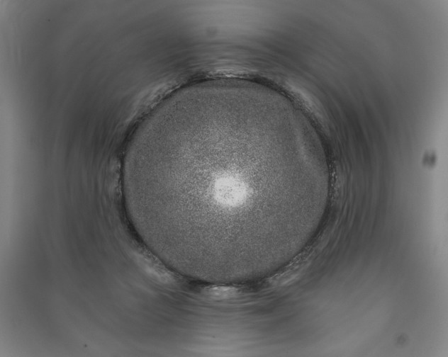 X0000090950361200708161800