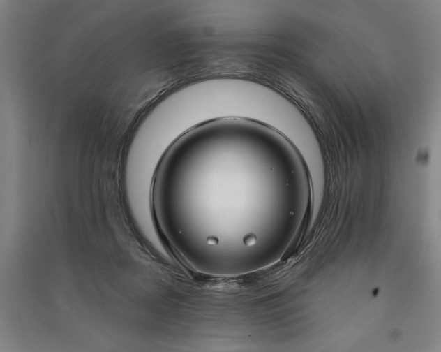 X0000090950362200708161800