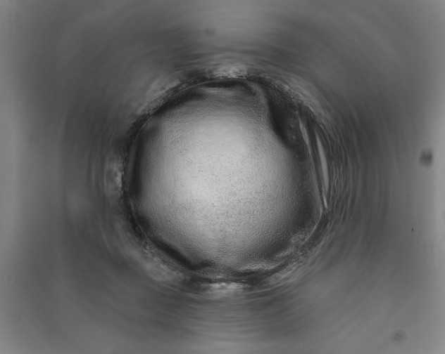X0000090950363200708161800
