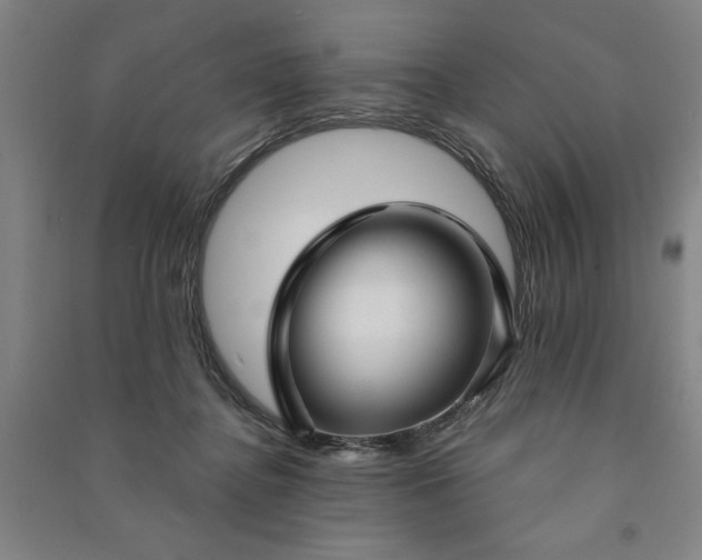X0000090950364200708161800