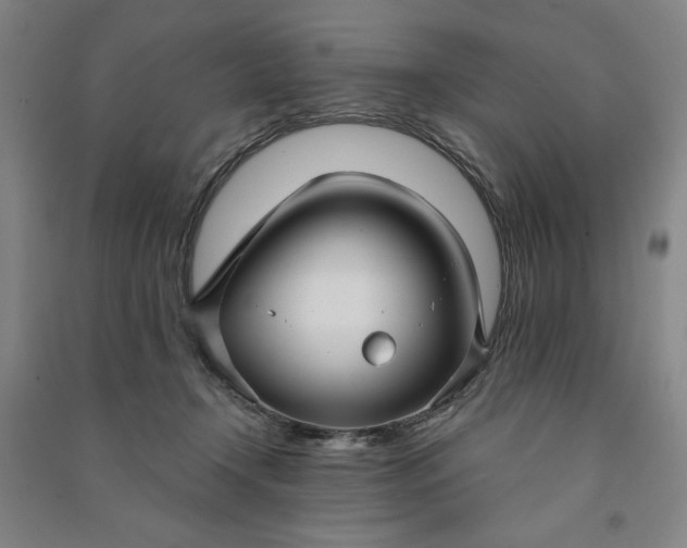 X0000090950366200708161800