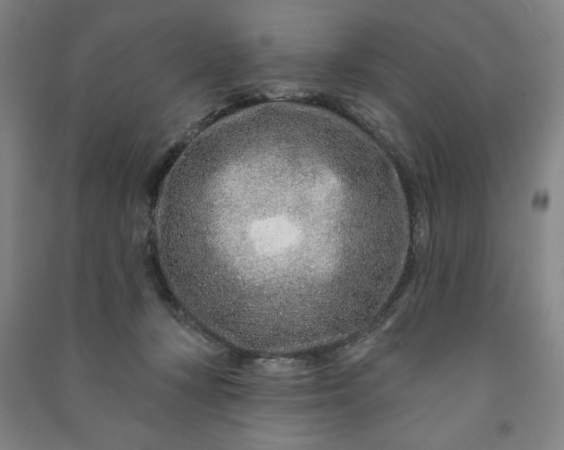 X0000090950367200708161800