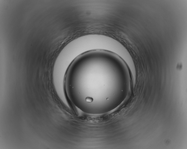 X0000090950368200708161800
