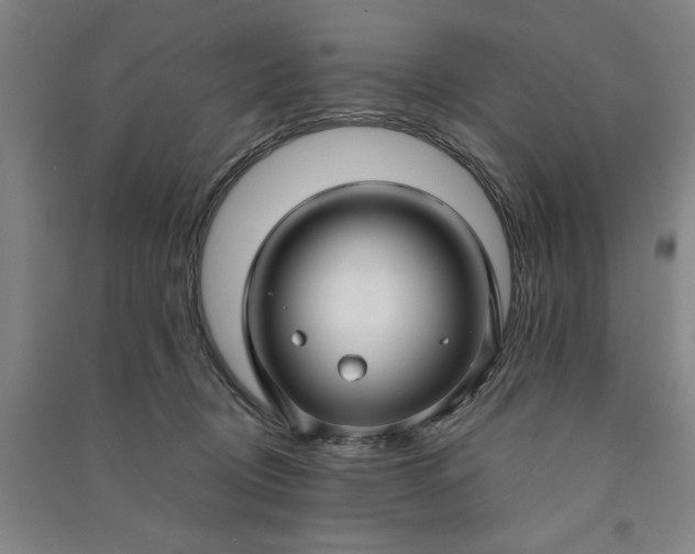 X0000090950370200708161800