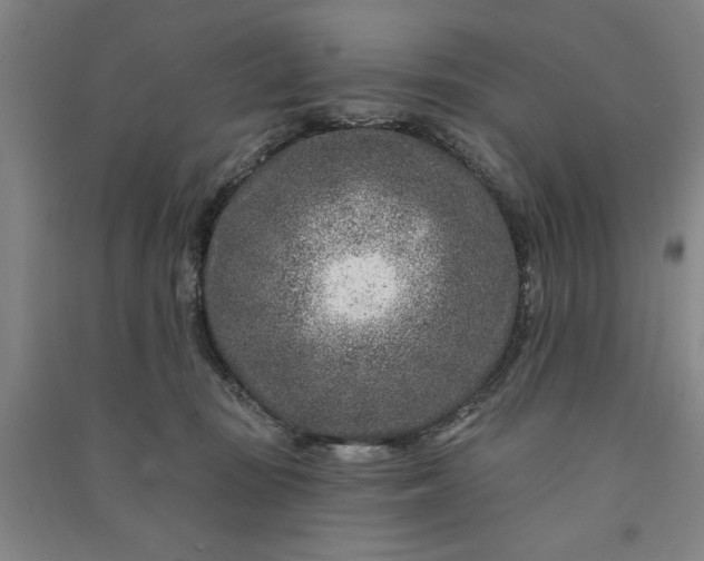 X0000090950371200708161800