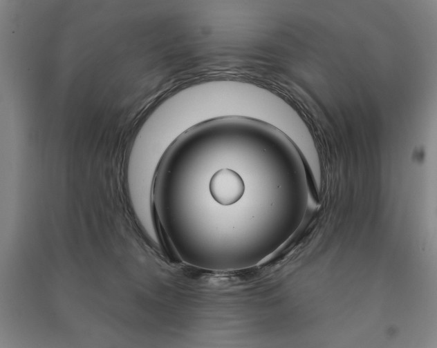 X0000090950372200708161800