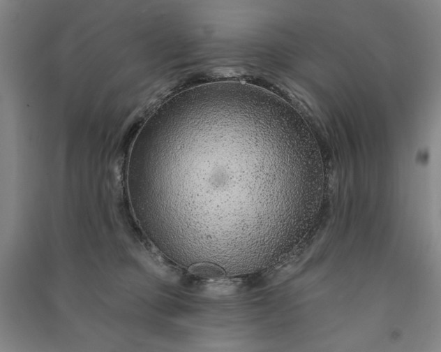 X0000090950373200708161800