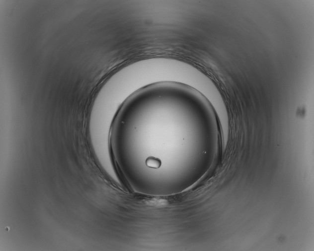 X0000090950374200708161800