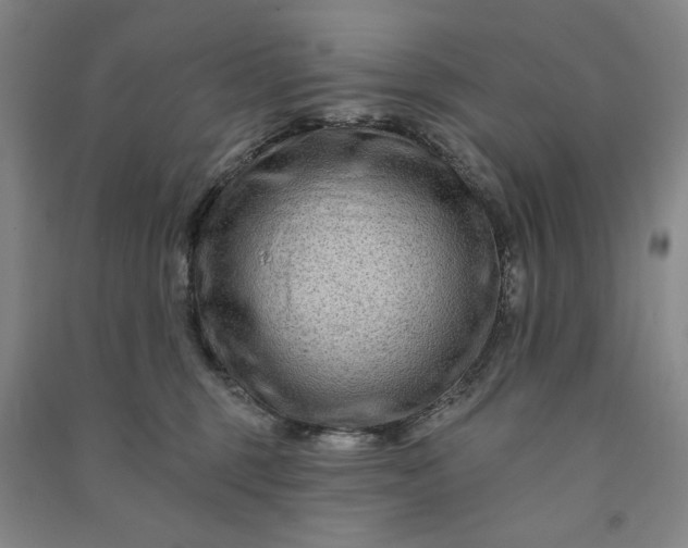 X0000090950375200708161800
