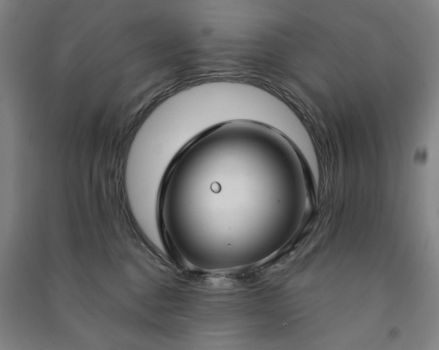 X0000090950376200708161800