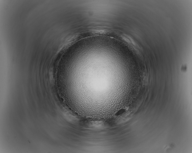 X0000090950377200708161800