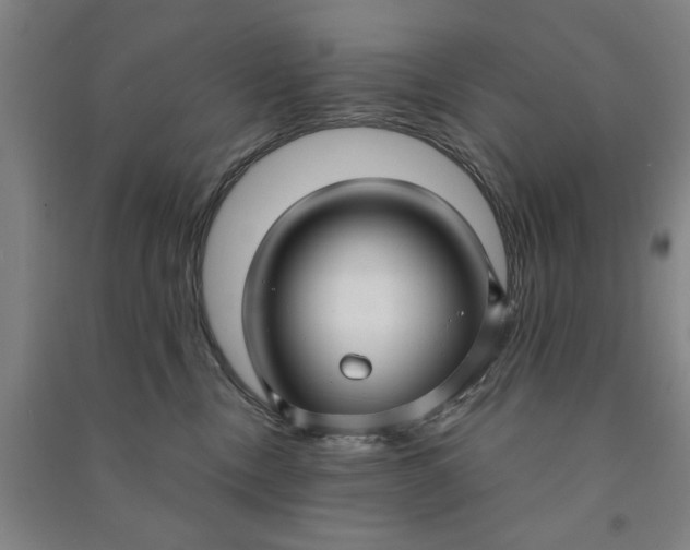 X0000090950378200708161800