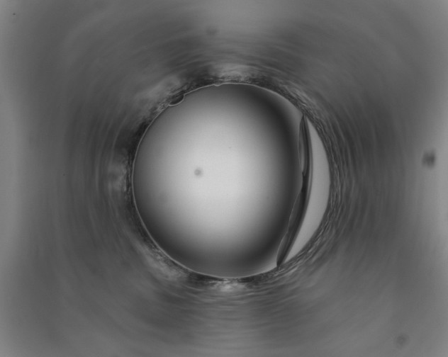 X0000090950379200708161800