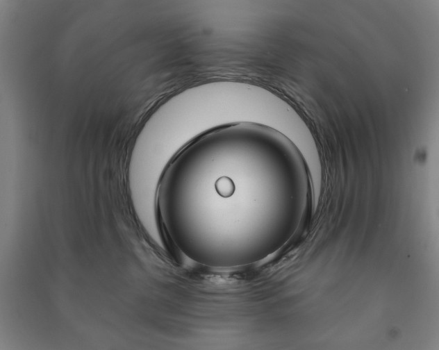 X0000090950380200708161801