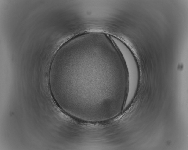 X0000090950385200708161800