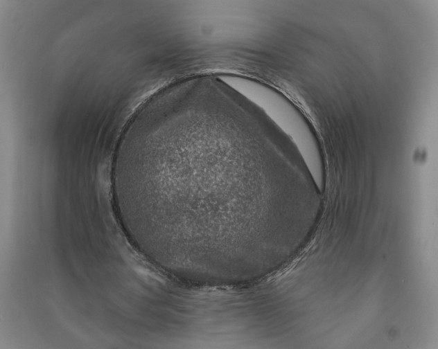 X0000090950386200708161800