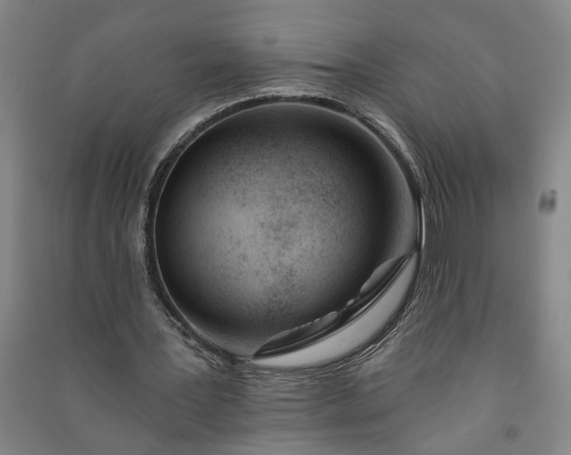 X0000090950387200708161800