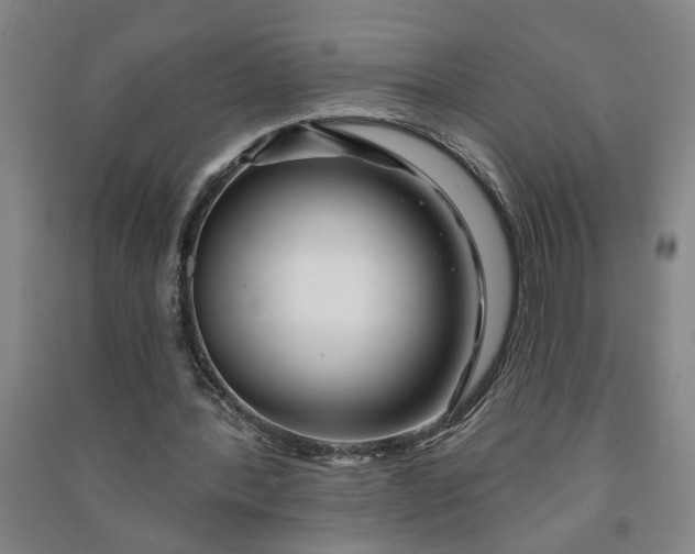 X0000090950388200708161800