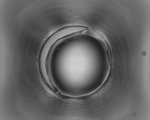 X0000090950389200708161800