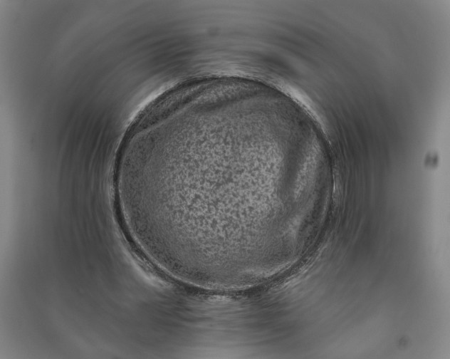 X0000090950390200708161800