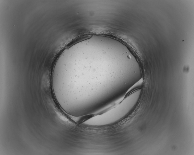 X0000090950393200708161800