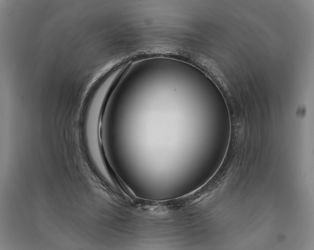 X0000090950395200708161800