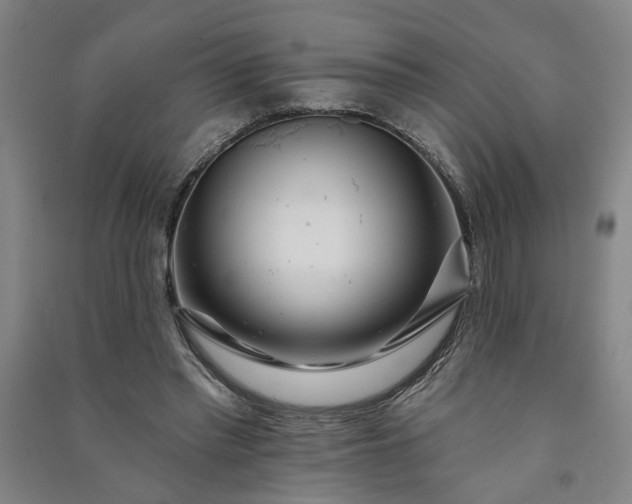 X0000090950397200708161800