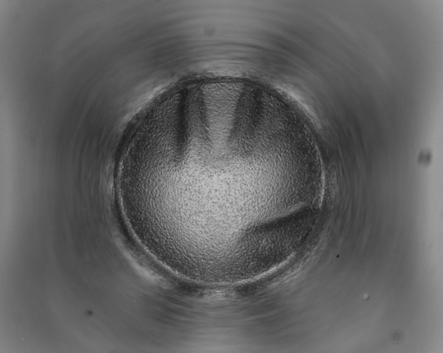 X0000090950398200708161800