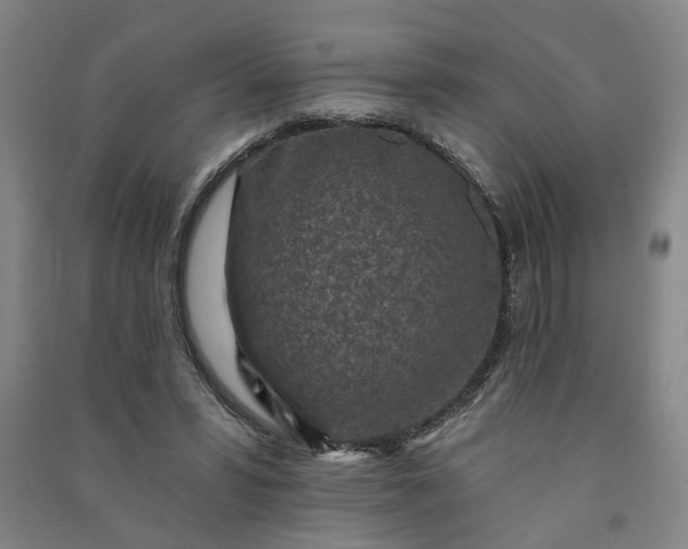 X0000090950399200708161800