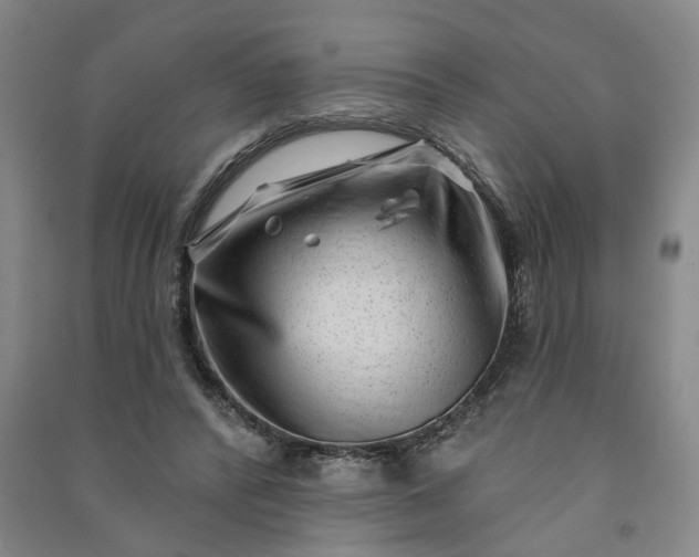 X0000090950400200708161800