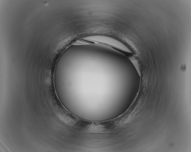 X0000090950403200708161800