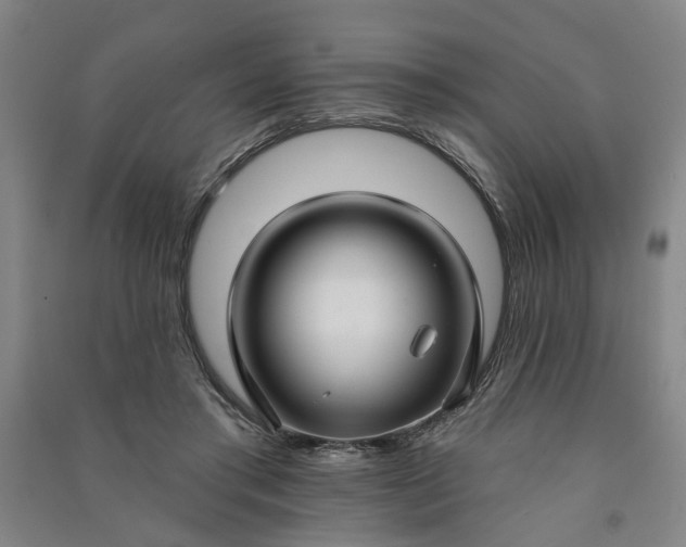 X0000090950405200708161800