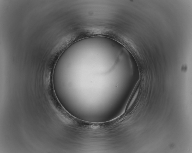 X0000090950406200708161800