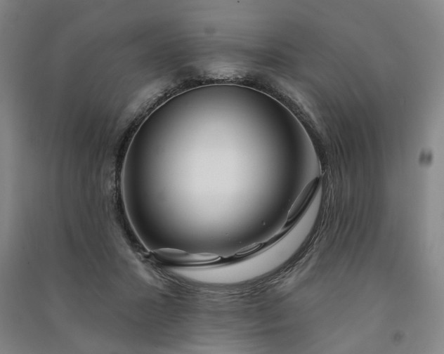 X0000090950407200708161800